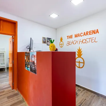 The Macarena
